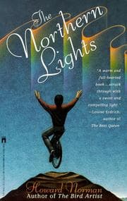 Tapa de Northern Lights