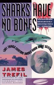 Tapa de Sharks have no bones