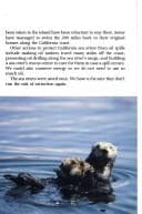 Tapa de Sea otters