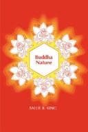 Tapa de Buddha nature