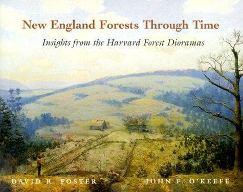 Tapa de New England Forests Through Time