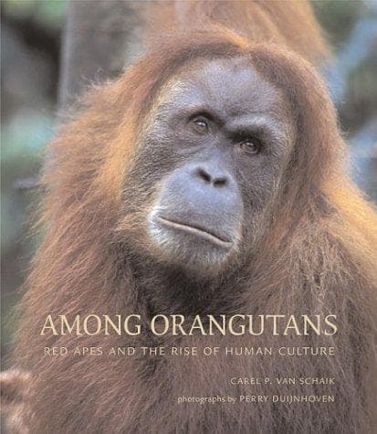Tapa de Among Orangutans