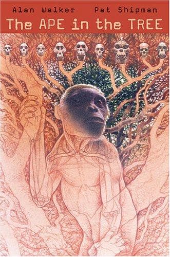 Tapa de The Ape in the Tree