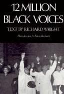 Tapa de 12 million black voices