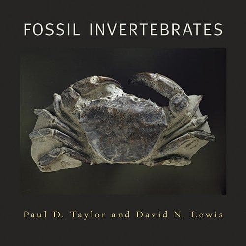 Tapa de Fossil invertebrates