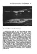 Tapa de Ecology and development in the Third World
