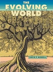Tapa de The Evolving World