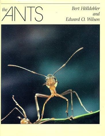 Tapa de The ants