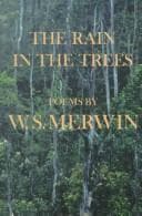 Tapa de The rain in the trees