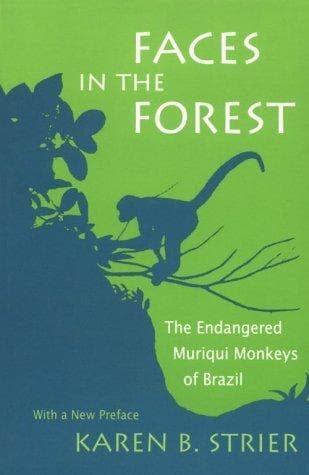 Tapa de Faces in the Forest