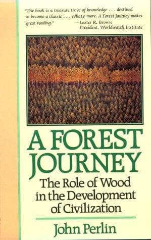 Tapa de A forest journey
