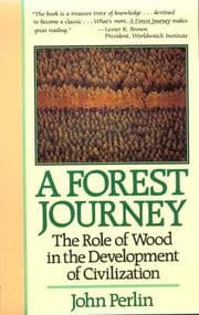 Tapa de A forest journey