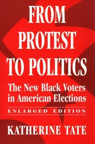 Tapa de From protest to politics
