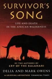 Tapa de Survivor's Song