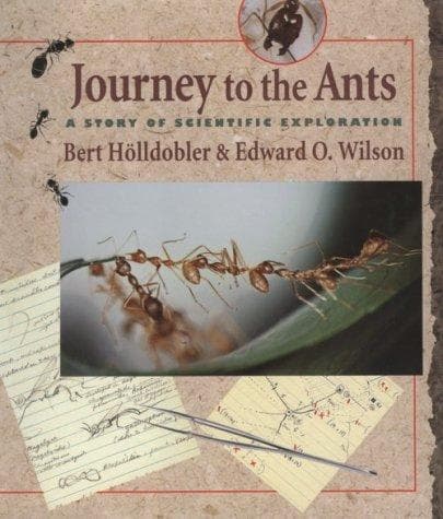 Tapa de Journey to the ants