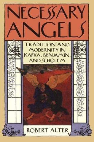 Tapa de Necessary angels