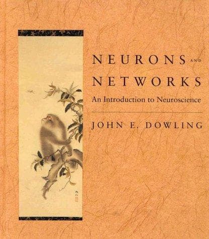 Tapa de Neurons and networks