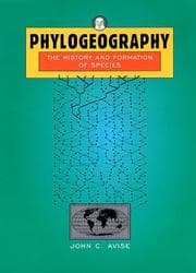 Tapa de Phylogeography