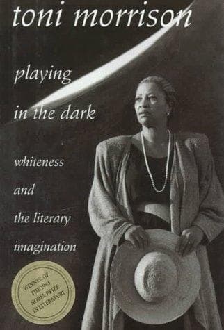Tapa de Playing in the dark