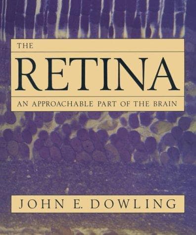 Tapa de The Retina