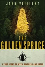 Tapa de The Golden Spruce