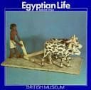 Tapa de Egyptian life