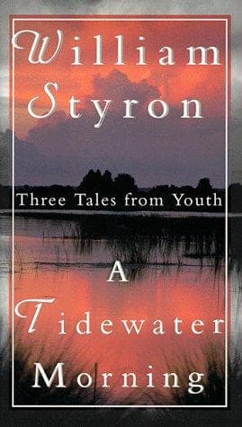 Tapa de A Tidewater Morning