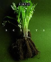 Tapa de Scents