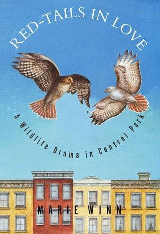 Tapa de Red-tails in love