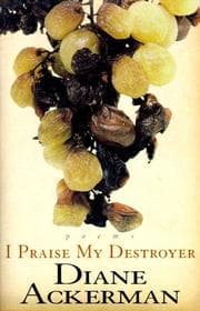 Tapa de I Praise My Destroyer
