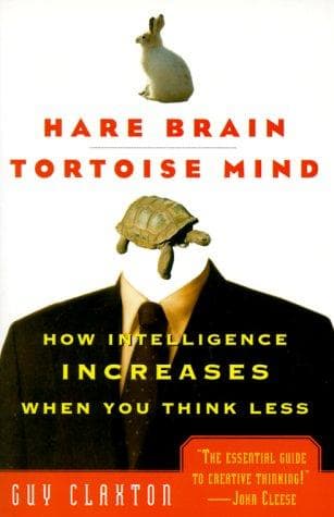 Tapa de Hare Brain, Tortoise Mind