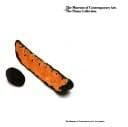 Tapa de The Museum of Contemporary Art