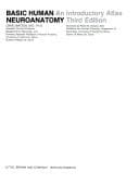 Tapa de Basic human neuroanatomy