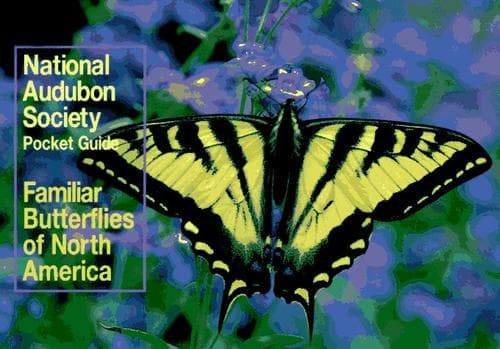 Tapa de Familiar butterflies