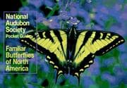 Tapa de Familiar butterflies