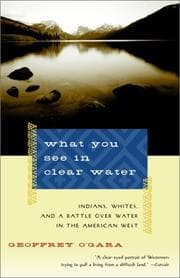 Tapa de What You See in Clear Water
