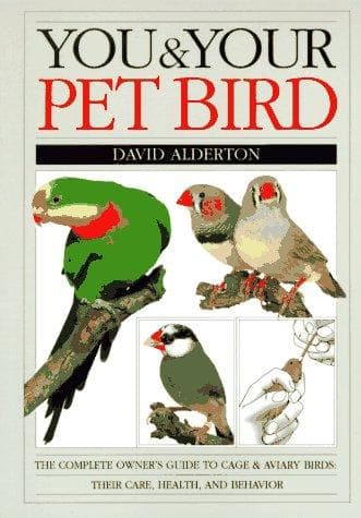Tapa de You & your pet bird