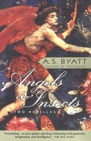 Tapa de Angels & insects
