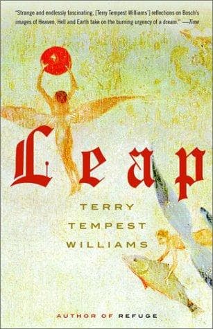 Tapa de Leap