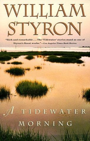 Tapa de A Tidewater Morning