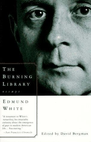 Tapa de The burning library