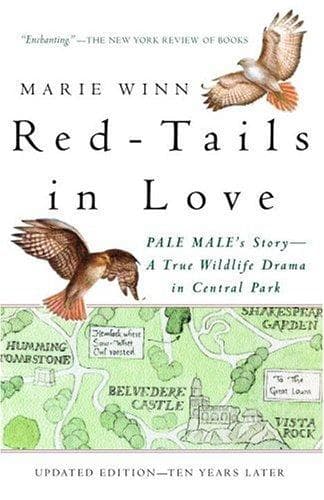 Tapa de Red-Tails in Love