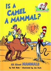 Tapa de Is a camel a mammal?