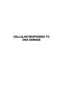 Tapa de Cellular responses to DNA damage