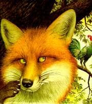 Tapa de The Fox and the Rooster (A Little Dipper Book(R))