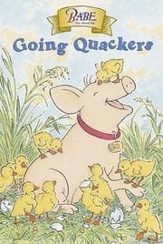 Tapa de Babe, the sheep pig--going quackers