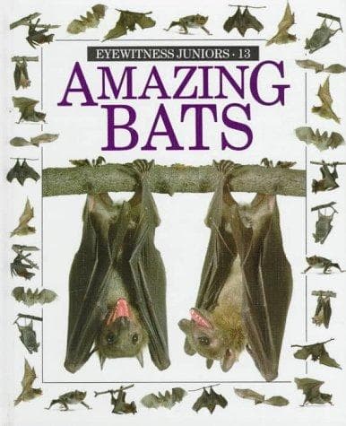 Tapa de Amazing bats