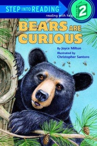 Tapa de Bears are curious