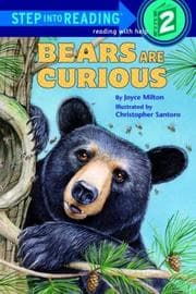 Tapa de Bears are curious