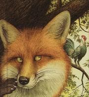 Tapa de The fox & the rooster